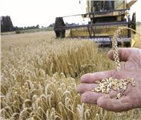 انخفاض محصول الحبوب في أوكرانيا بنسبة 40% .. فيديو