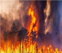 ارتفاع عدد المصابين في حرائق الغابات في تشيلي إلى 67 شخصًا