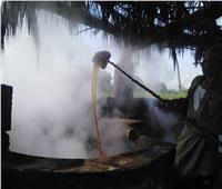 صور | شارك في «Food Africa» .. كيف يُصنع عسل نجع حمادي؟
