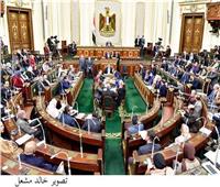 برلمانية: مشاركة الرئيس السيسي احتفالية «قادرون باختلاف» رسالة إنسانية 