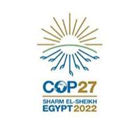 أمين المجلس العربي للمياه: التاريخ سيذكر ما حققته استضافة مصر لقمة المناخ