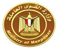 القوى العاملة: توفير 1350 فرصة عمل بالبحيرة والوادي الجديد 