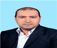 د وائل بكري رشيدي عميداً لآثار جامعة جنوب الوادي 