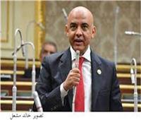 برلماني: الرئيس السيسي رفع التهميش عن الصعيد بمشروعات عملاقة وتنمية حقيقة