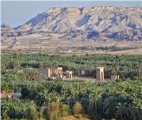 إعلان محافظة الوادي الجديد عاصمة للثقافة عام 2023