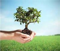 المنسق الأسبق لـ «تغير المناخ»: «زراعة 100 مليون شجرة» يستهدف صحة المواطن