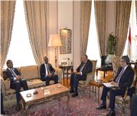 وزير الخارجية: مصر داعمة لأمن واستقرار الصومال