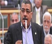 رئيس صناعة النواب: «قطاع الأعمال شال مصر في أحلك الظروف»