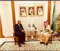 البيان المشترك بين مصر والسعودية.. رفض أية تدخلات في الشؤون الداخلية للدول العربية 