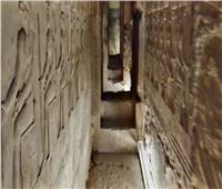 فيديو| «كانت مصر القديمة متوهجة».. «سراديب دندرة» أذهلت ملياردير أمريكي