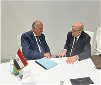 وزير الخارجية يلتقي سكرتير اتفاقية تغير المناخ بأبو ظبي 