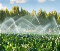 38.2 مليار متر مكعب كمية المياه المستخدمة في ري المحاصيل الزراعية خلال 2021
