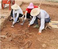 بالصور| اكتشاف أكثر من 300 قطعة أثرية يرجع تاريخها لـ200 ألف سنه في الصين