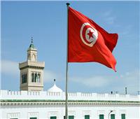 البنك الدولي يؤكد مواصلة دعم مشروعات الطاقة في تونس
