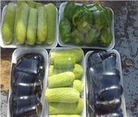 استقرار أسعار الخضروات في سوق العبور الجمعة 27 يناير 