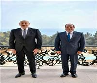 مباحثات على مستوى القمة بين الرئيس السيسي ونظيره الأذربيجاني 