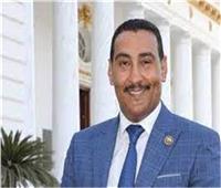 برلماني: زيارات السيسي الخارجية تعزز من دور مصر الرائد إقليميا ودوليا 