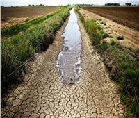 تهدد التنمية المستدامة.. موجات الجفاف ستكون أكثر حدة في المستقبل بسبب تغير المناخ
