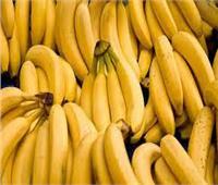 الإحصاء: 73 ألـف فــدان مساحة محصول الموز في 2021