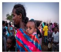 مفوضية اللاجئين تطلق نداء إنسانيا لمساعدة الآلاف في السودان