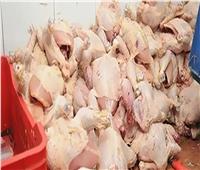  ضبط 11 طن أسماك ودجاج مجهولة المصدر في حملة تموينية بالقليوبية