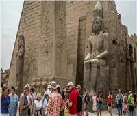 عضو شركات السياحة: مصر تسير وفق خطة واضحة نحو هدف الـ30 مليار دولار أرباح سنويًا
