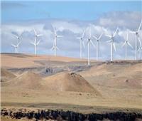 «جبل الزيت».. أكبر محطة لتوليد الكهرباء من الرياح في العالم 