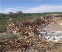 محافظ أسيوط: إزالة 13 حالة تعدٍ على أراضي زراعية وبناء مخالف بمراكز المحافظة