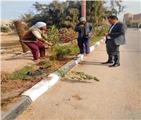 زراعة 3050 شجرة جديدة بحي الكوثر في سوهاج 