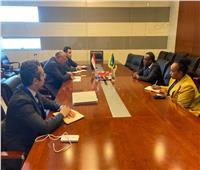 وزير الخارجية يلتقي نظيره الرواندي على هامش أعمال المجلس التنفيذي للاتحاد الأفريقي 
