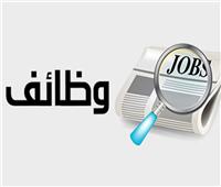 «القوى العاملة»: توفير 60 فرصة عمل لذوي الهمم ببورسعيد