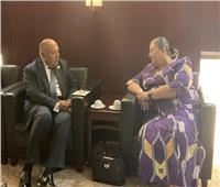 وزير الخارجية يلتقي مبعوثة سكرتير عام الأمم المتحدة الخاصة للقرن الإفريقي