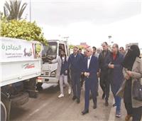 ضمن المبادرة الرئاسية.. «بورسعيد» تستقبل 70 ألف شجرة