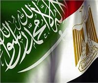 أستاذ علاقات دولية: مصر والسعودية هما القلب النابض للأمة العربية