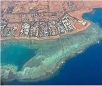 ليوناردو دي كابريو: الشعاب المرجانية بسواحل البحر الأحمر المصرية مزدهرة