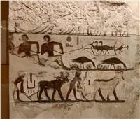 ننشر الصور الأولى لمشروع تطوير العرض المتحفي في المتحف المصري بالتحرير  