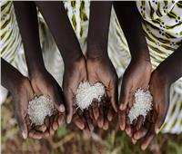 تقرير | «سلة غذاء العالم جائعة».. لماذا يضرب الجوع قارة أفريقيا؟