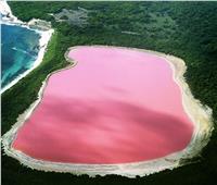«هيلير الوردية».. أجمل بحيرة في أستراليا اختفى منها الملح فجأة |صور