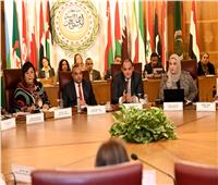 الجامعة العربية تؤكد أهمية التمكين الاقتصادي للمرأة ودورها في تحقيق التنمية