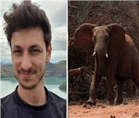 فيل يقتل إسرائيليًا داخل متنزه في نيبال