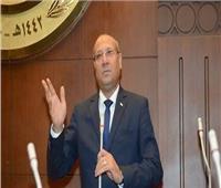  النائب عمروعكاشة: تطوير وتنمية سيناء إنجاز حقيقى للدولة المصرية 