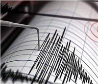 زلزال بقوة 4.3 درجة يضرب شمال غربى الهند