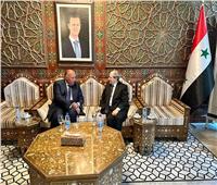 وزير الخارجية السوري: مصر لعبت دورًا مهما في مجابهة تداعيات الزلزال