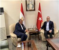 شكري يؤكد لنظيره التركي استمرار دعم مصر لبلاده لمواجهة تبعات الزلزال 