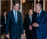 بالصور| لقاء سامح شكري مع الرئيس السوري فى دمشق صباح اليوم
