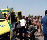 إصابة 8 أشخاص إثر اصطدام سيارتين ملاكي في صحراوي البحيرة