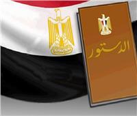 وفد مصر أمام «حقوق الإنسان»: دستور 2014 تضمن 20 مادة للمساواة وعدم التمييز