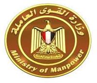 ​​​​​​​ القوى العاملة: 190 فرصة عمل بالقاهرة والمنوفية
