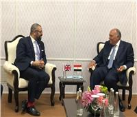 وزير الخارجية يلتقي نظيره البريطاني على هامش اجتماعات مجموعة العشرين 