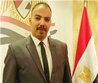 أمين إعلام "المصريين": قرارات الرئيس برفع الحد الأدنى للأجور نقلة نوعية في تحسين الرواتب والمعاشات